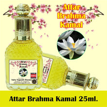 Brahma Kamal 25ml Rollon Pack