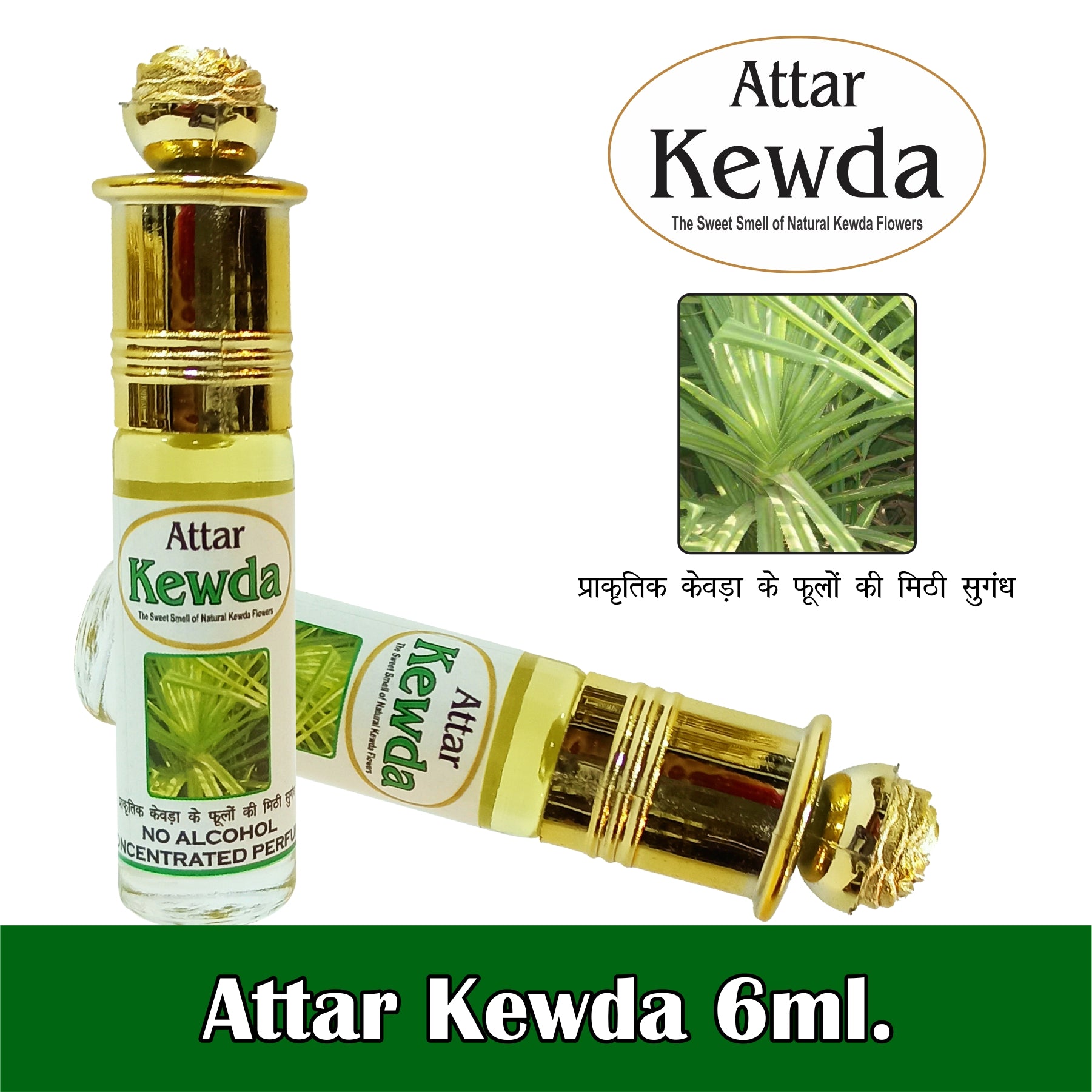 Rich & Divine Kewda|Kewra 6ml Rollon Pack – Indra Sugandh Bhandar